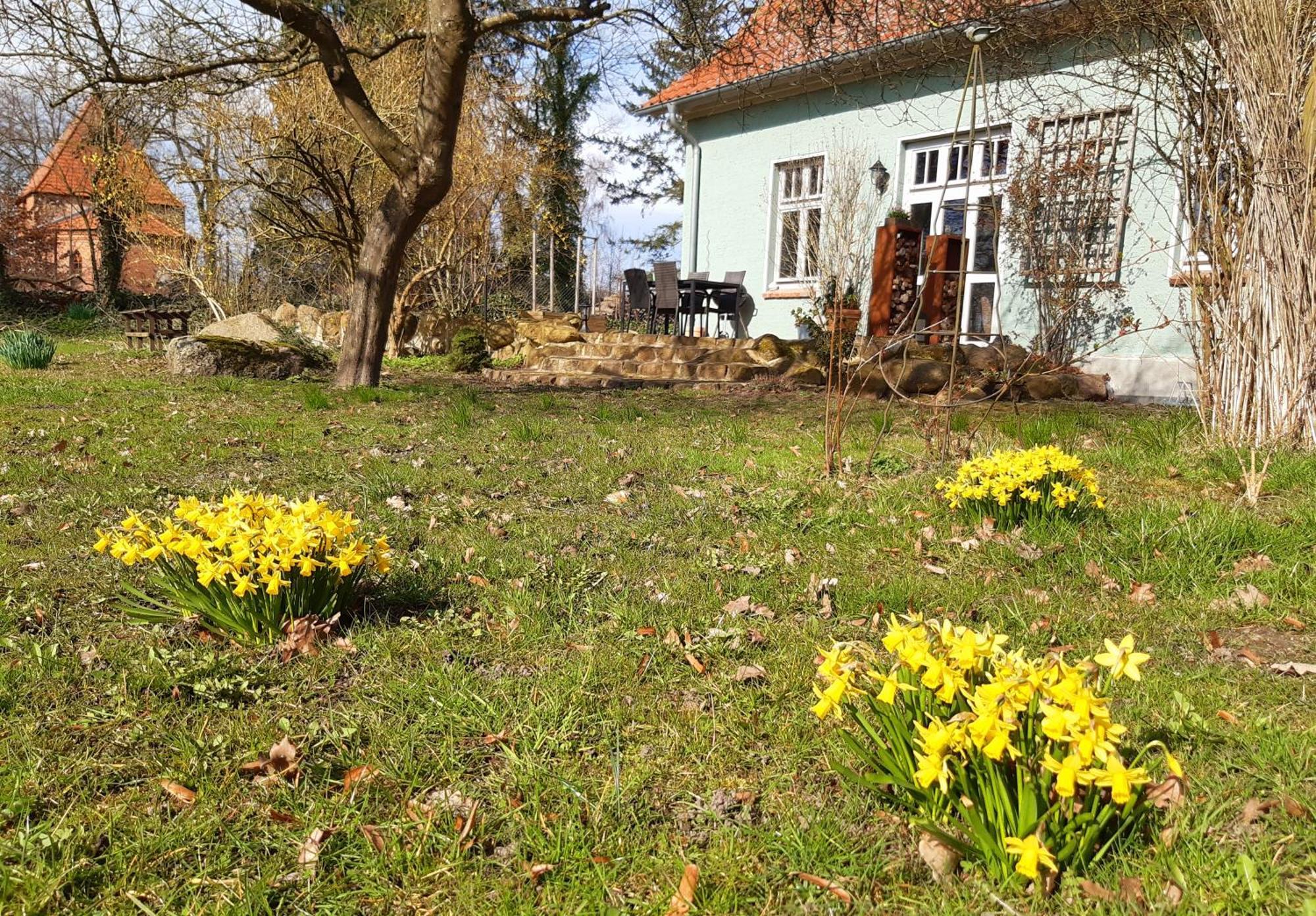 Gremersdorf-Buchholz Ferienhaus Salvia מראה חיצוני תמונה