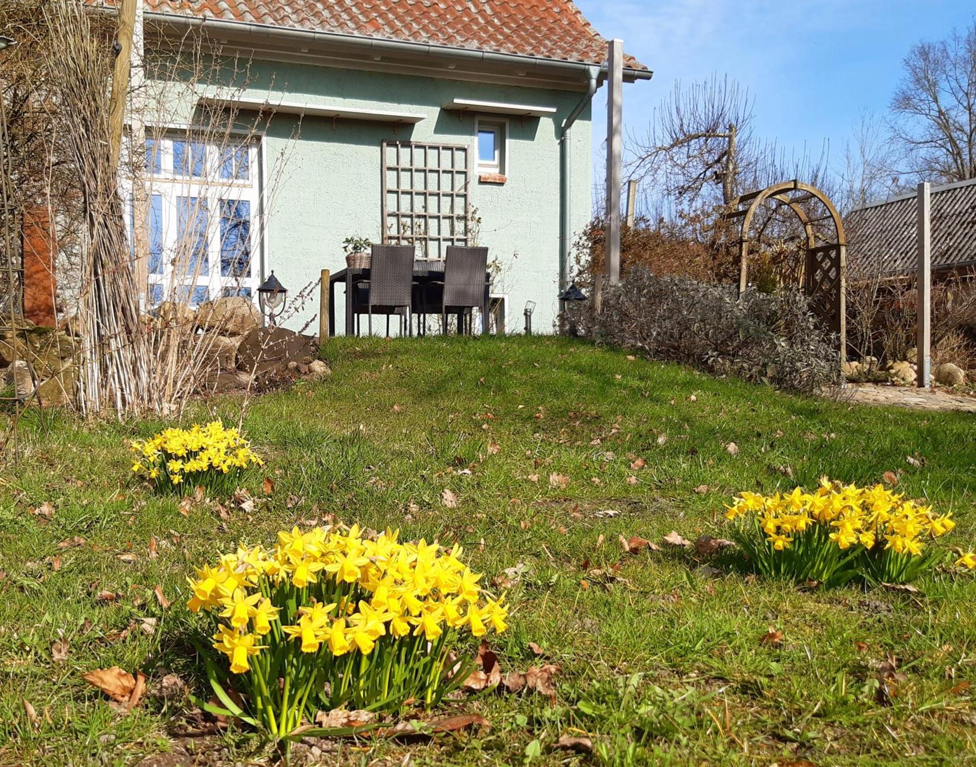 Gremersdorf-Buchholz Ferienhaus Salvia מראה חיצוני תמונה