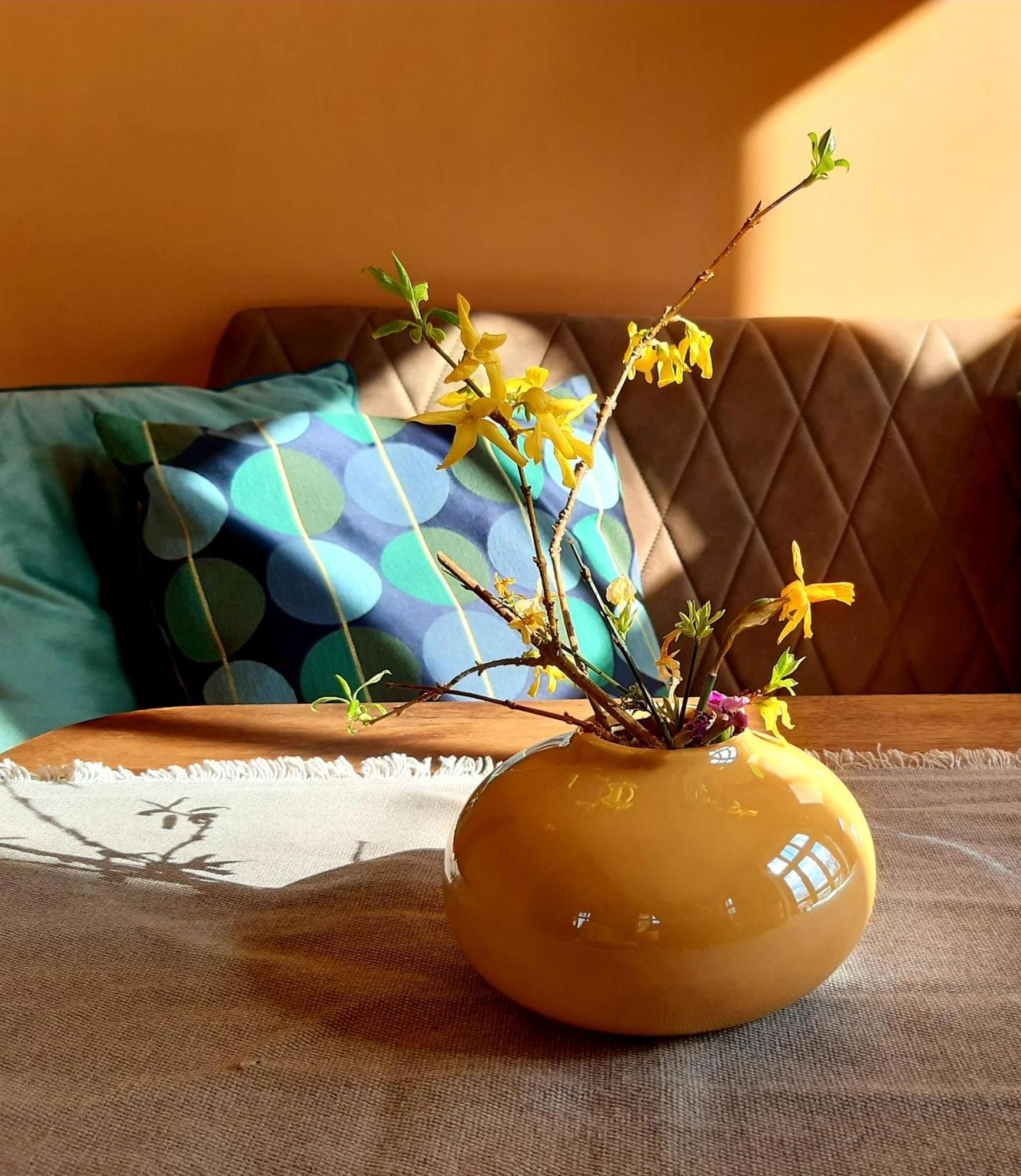 Gremersdorf-Buchholz Ferienhaus Salvia מראה חיצוני תמונה