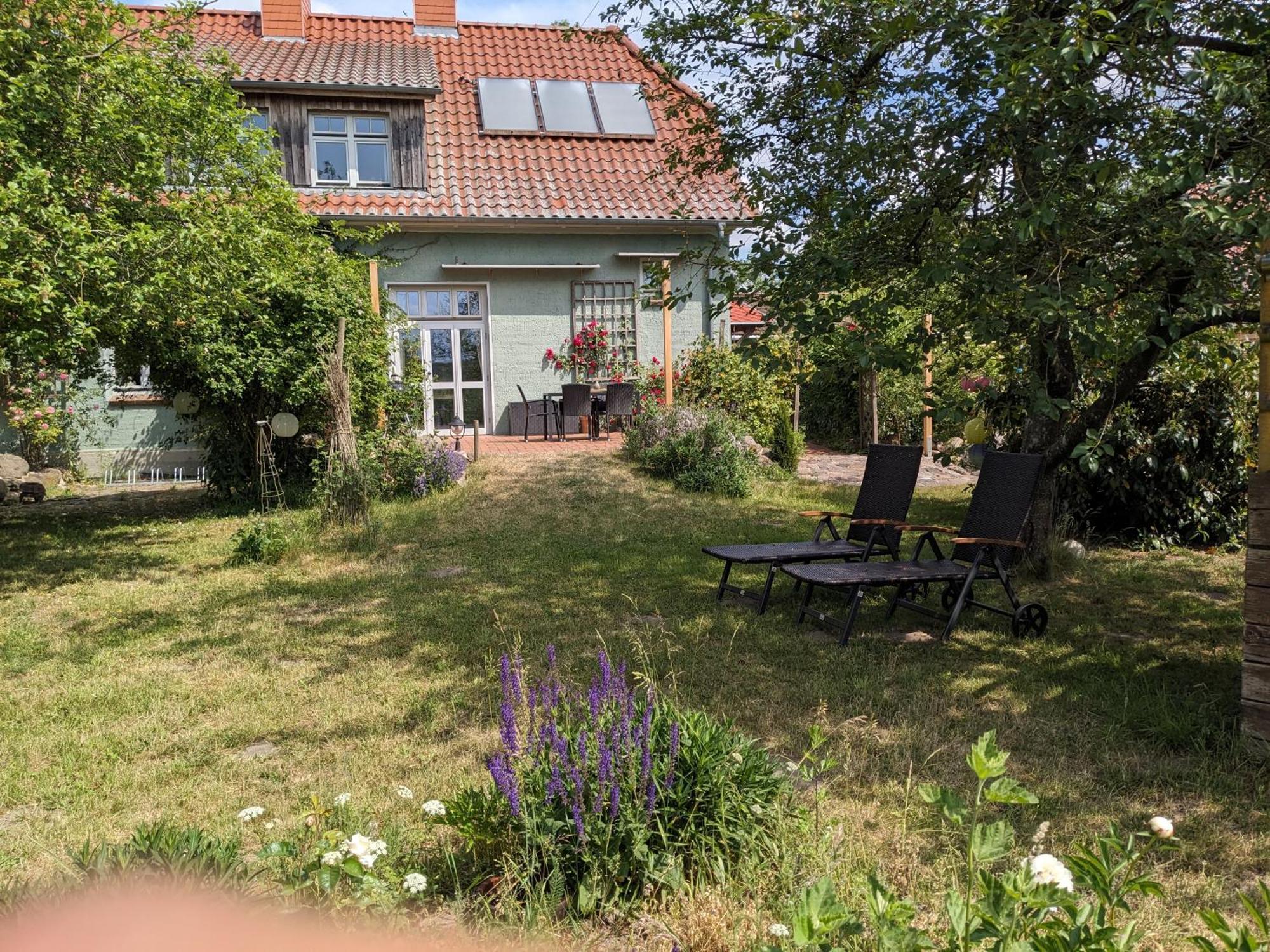 Gremersdorf-Buchholz Ferienhaus Salvia מראה חיצוני תמונה